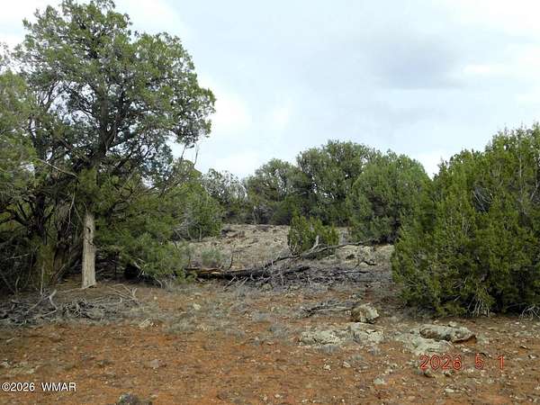 5.18 Acres of Land for Sale in Show Low, Arizona