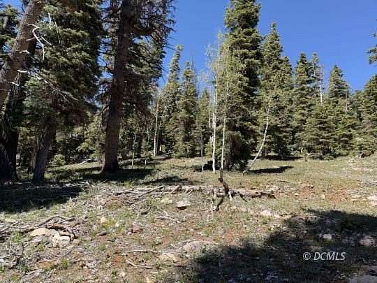 0.51 Acres of Residential Land for Sale in Duck Creek Village, Utah