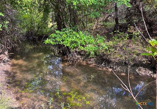 10 Acres of Recreational & Residential Land for Sale in Jonesboro, Texas