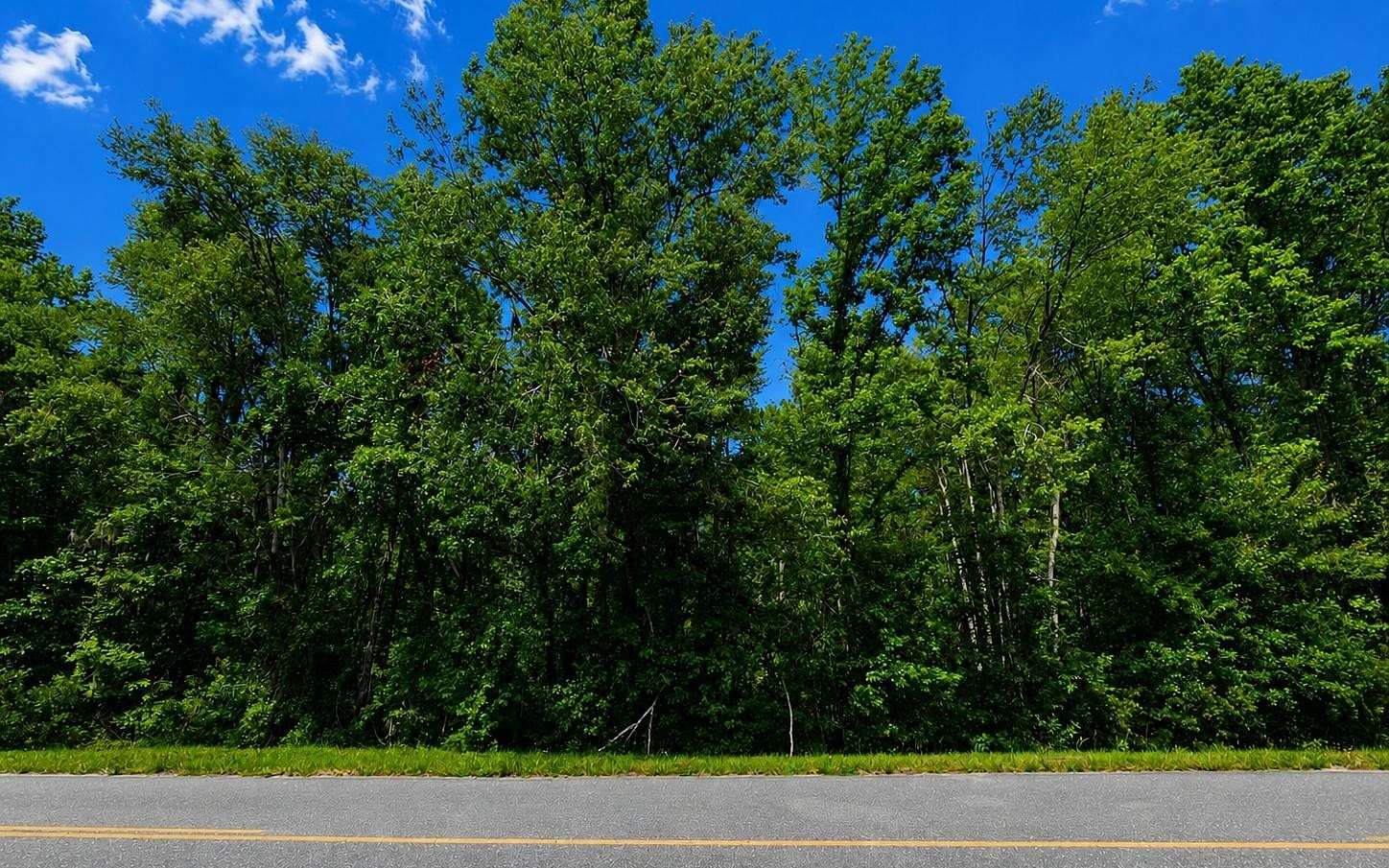 3 Acres of Land for Sale in Jasper, Florida