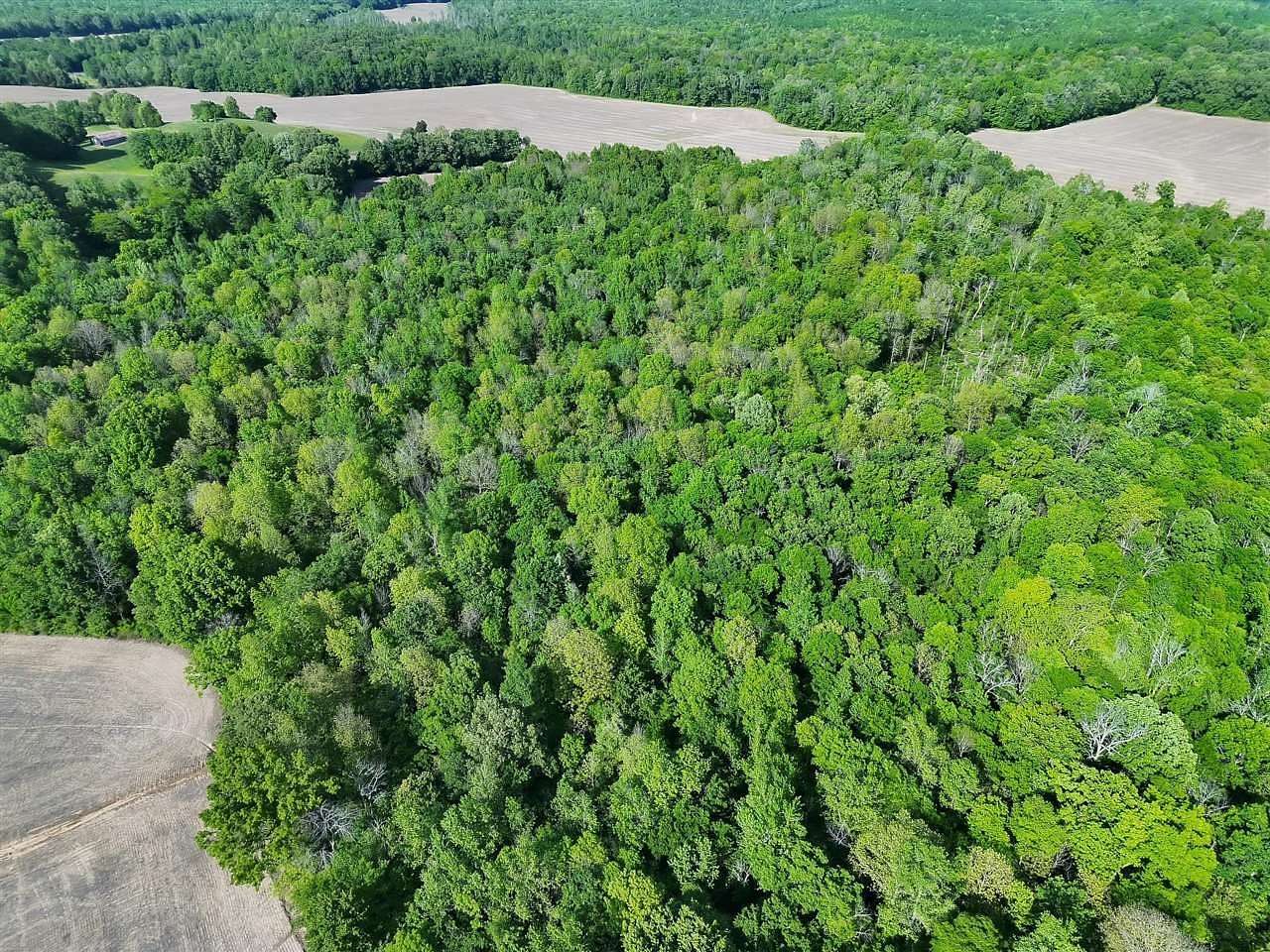 90 Acres of Land for Sale in Centertown, Kentucky
