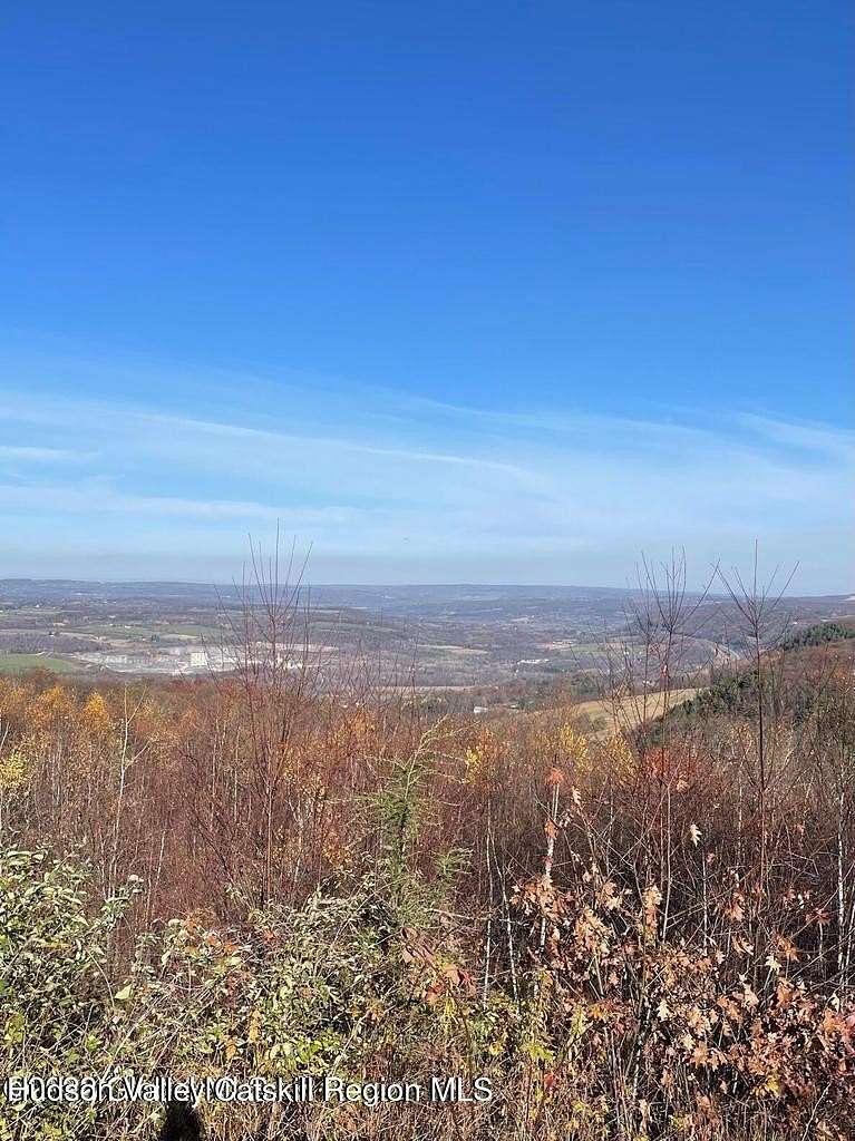125 Acres of Recreational & Residential Land for Sale in Cobleskill, New York