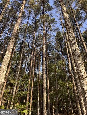 7.68 Acres of Residential Land for Sale in Union Point, Georgia