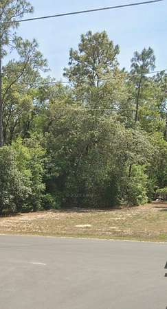 0.31 Acres of Residential Land for Sale in Ocala, Florida