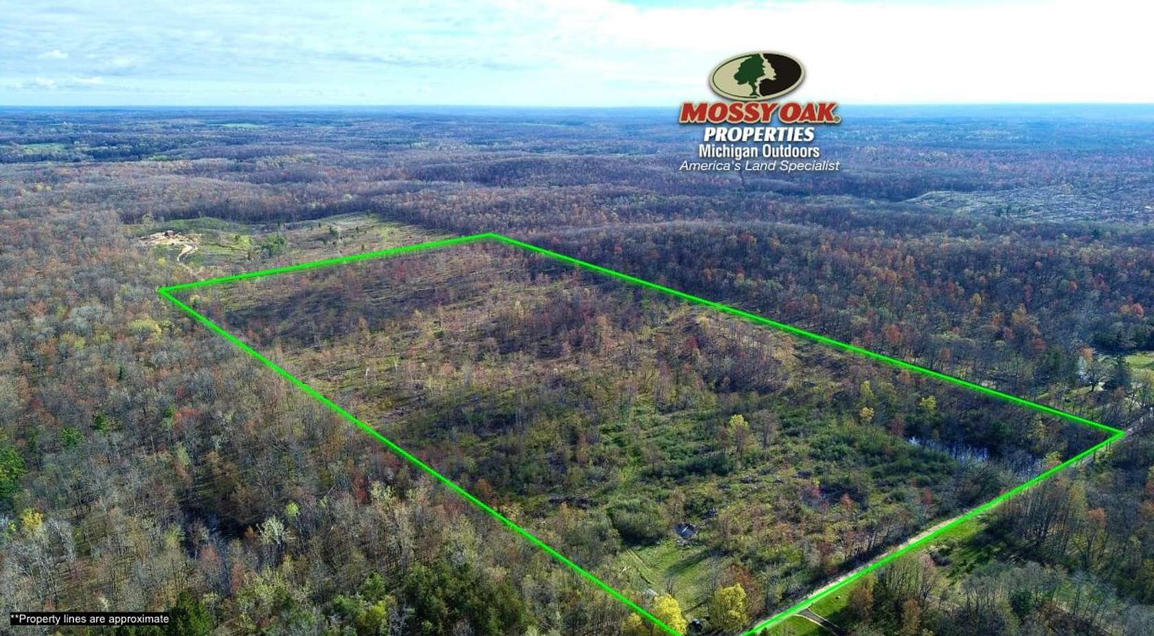 76 Acres of Land for Sale in White Cloud, Michigan