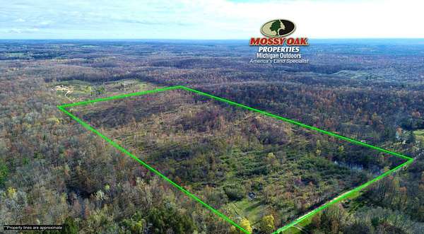 76 Acres of Land for Sale in White Cloud, Michigan