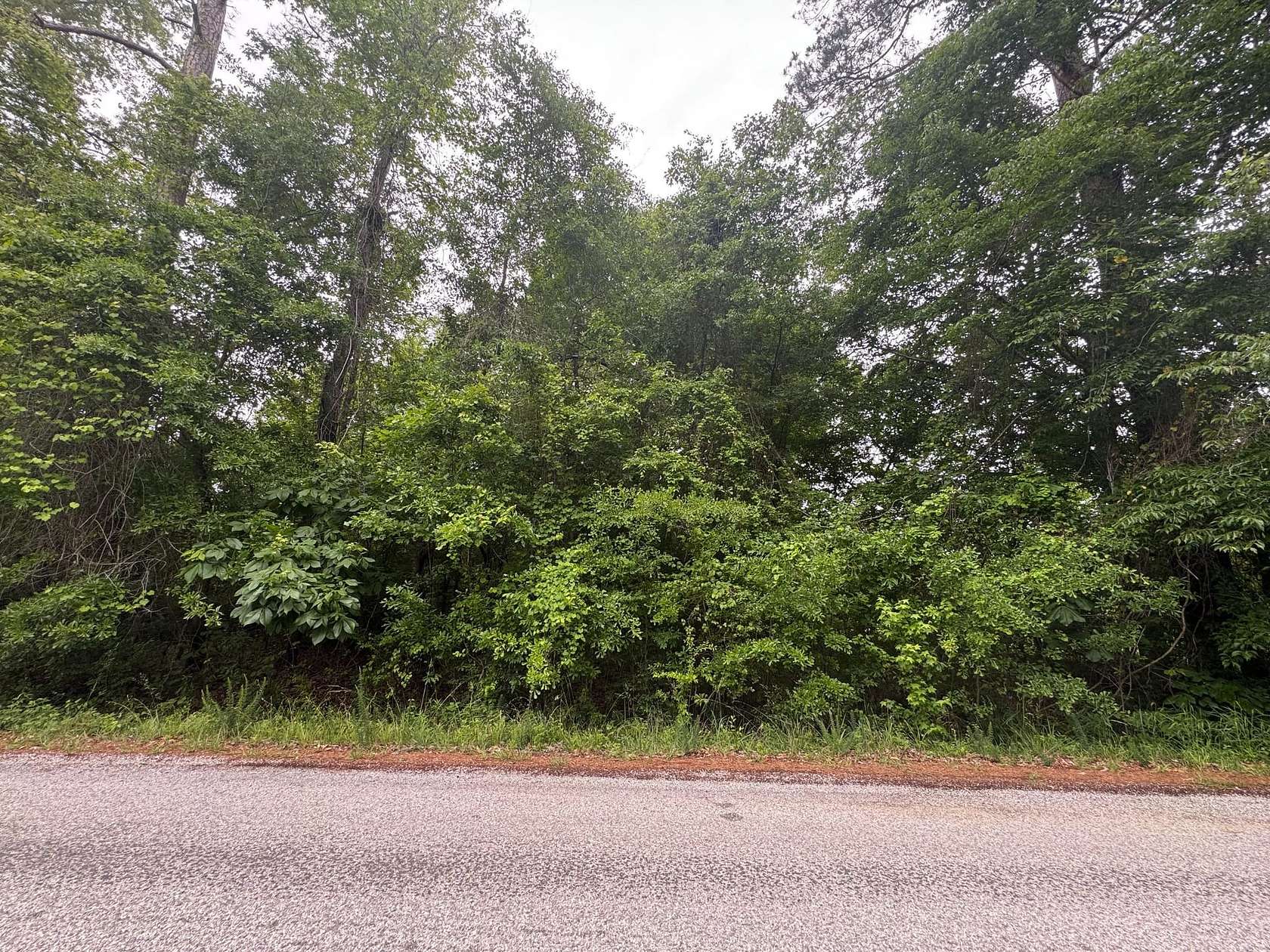 0.74 Acres of Residential Land for Sale in Sawyerville, Alabama