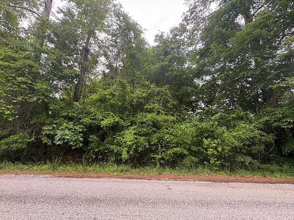 0.74 Acres of Residential Land for Sale in Sawyerville, Alabama
