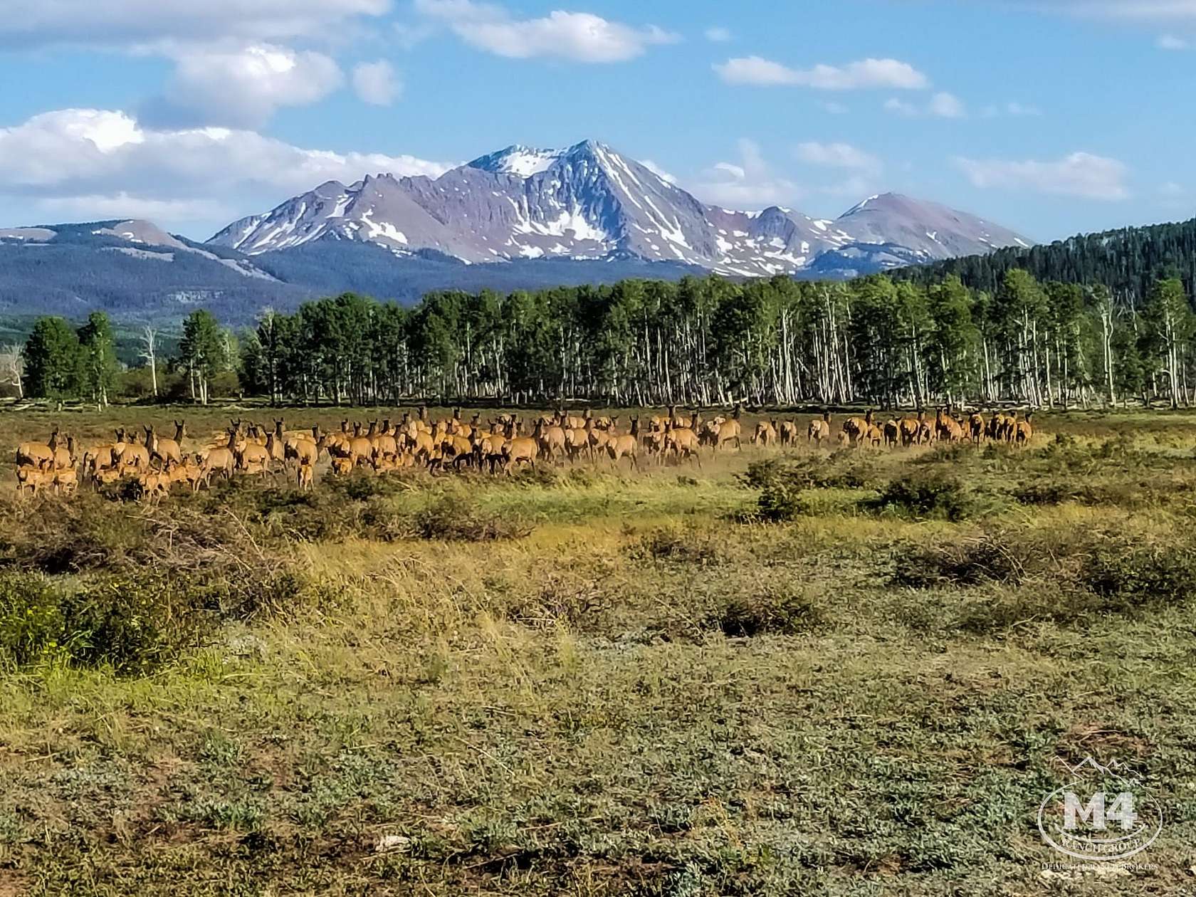 700 Acres of Land for Sale in Placerville, Colorado