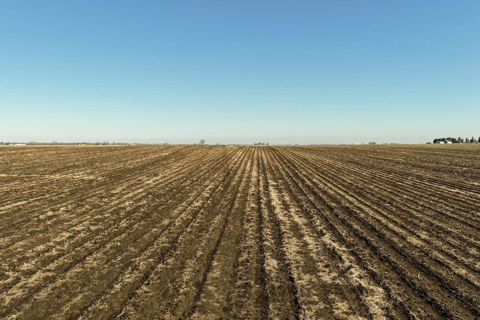 64.5 Acres of Land for Auction in Duncombe, Iowa