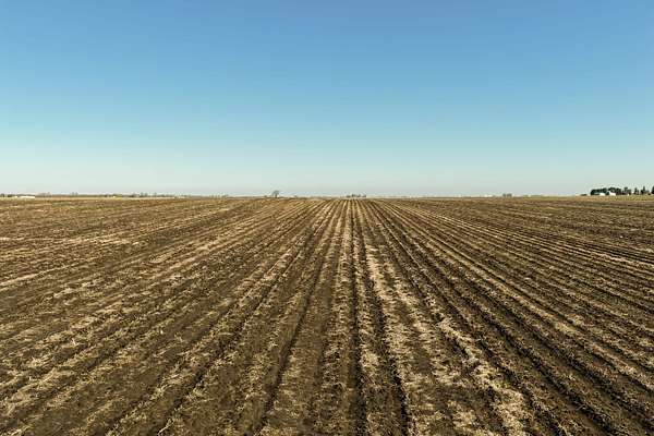 64.5 Acres of Land for Auction in Duncombe, Iowa