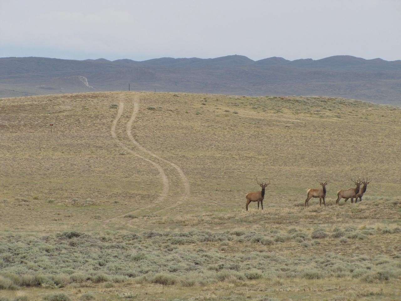 160 Acres of Land for Sale in Rawlins, Wyoming