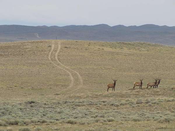 160 Acres of Land for Sale in Rawlins, Wyoming