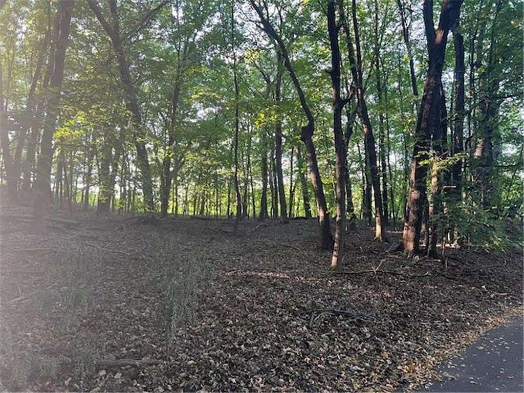 0.93 Acres of Residential Land for Sale in Shorewood, Minnesota