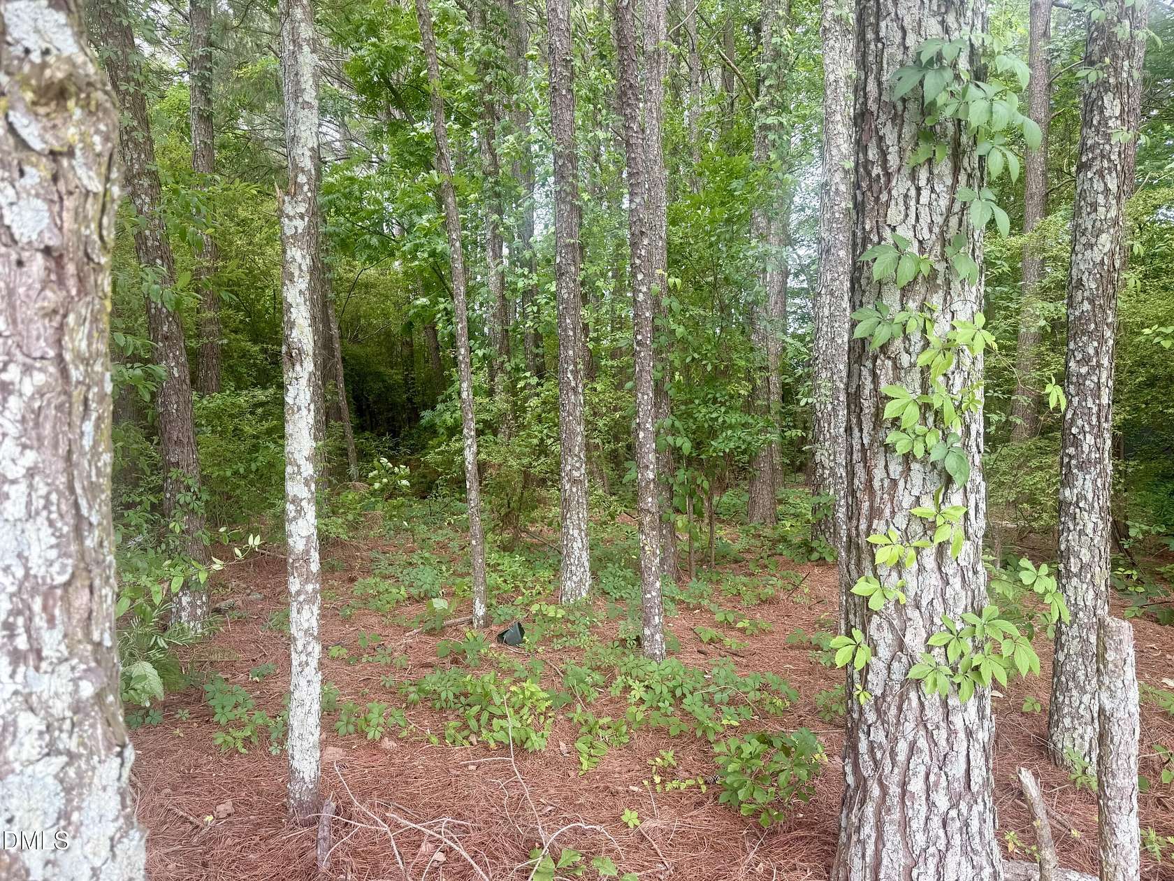 0.33 Acres of Residential Land for Sale in Dunn, North Carolina