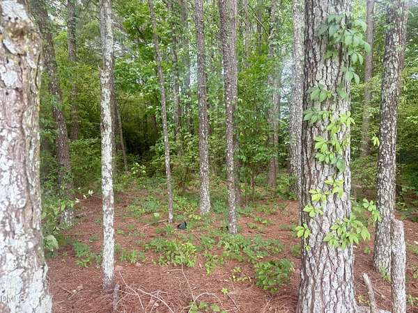 0.33 Acres of Residential Land for Sale in Dunn, North Carolina