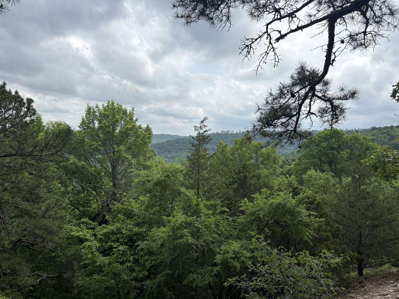320 Acres of Recreational Land for Sale in Leslie, Arkansas