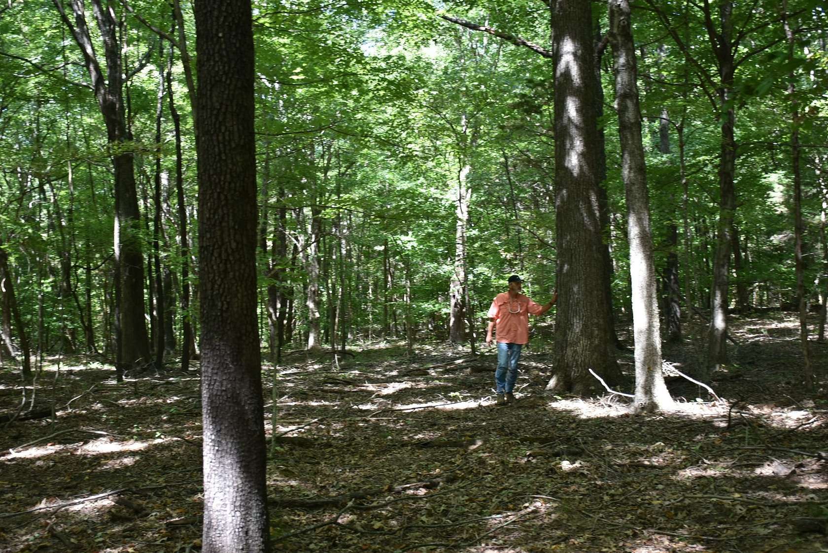 6 Acres of Recreational Land for Sale in Centertown, Kentucky