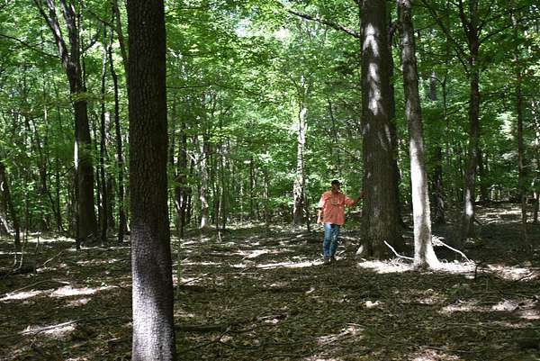 6 Acres of Recreational Land for Sale in Centertown, Kentucky