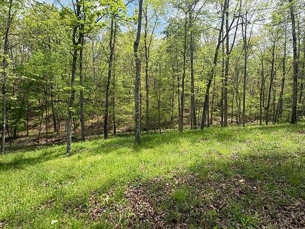 160 Acres of Land with Home for Sale in Centerville, Missouri