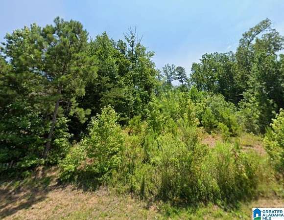 0.5 Acres of Residential Land for Sale in Birmingham, Alabama