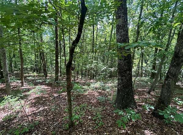 3 Acres of Residential Land for Sale in Douglasville, Georgia