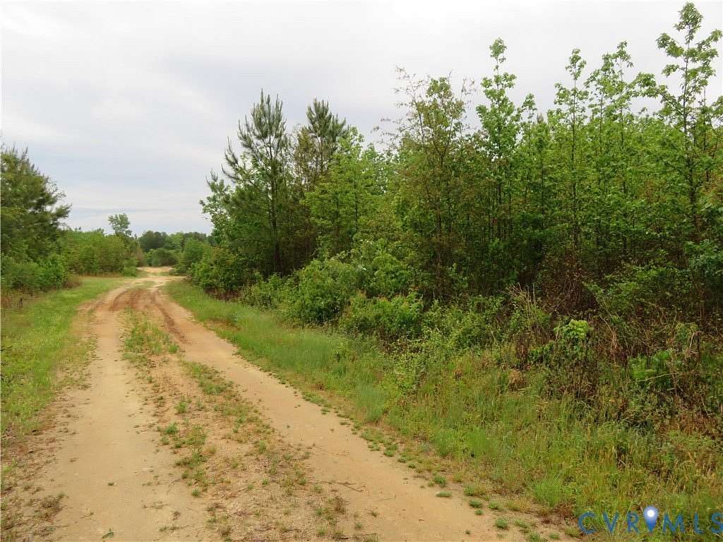 48 Acres of Land for Sale in Stony Creek, Virginia