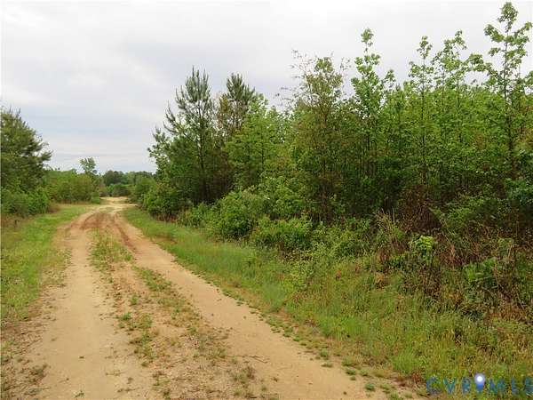 48 Acres of Land for Sale in Stony Creek, Virginia