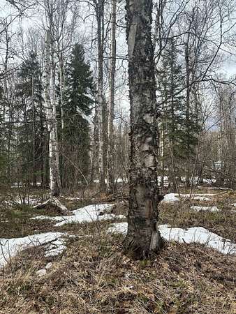 1.84 Acres of Residential Land for Sale in Salcha, Alaska