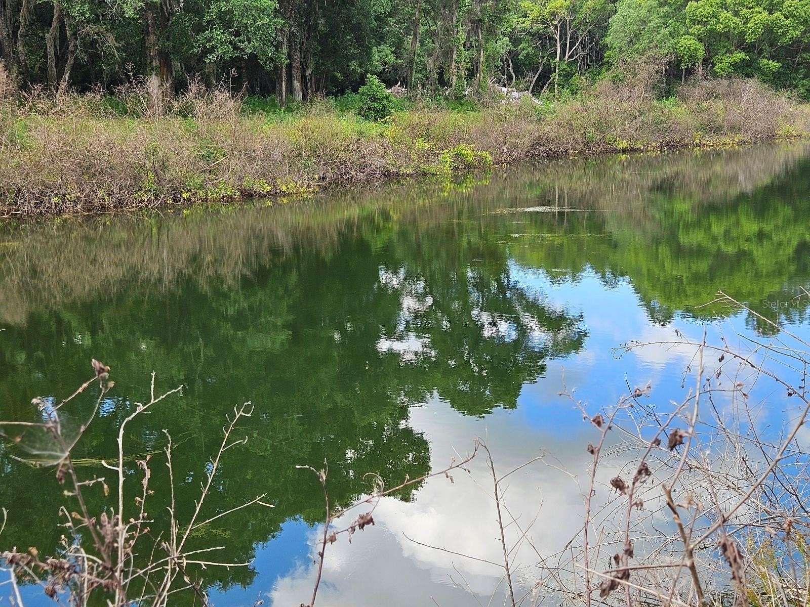 10 Acres of Land for Sale in Pierson, Florida