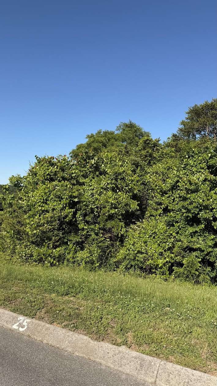 1.54 Acres of Residential Land for Sale in Russellville, Tennessee