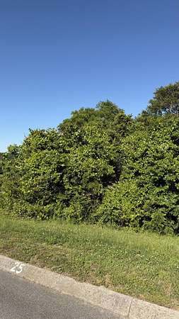 1.54 Acres of Residential Land for Sale in Russellville, Tennessee