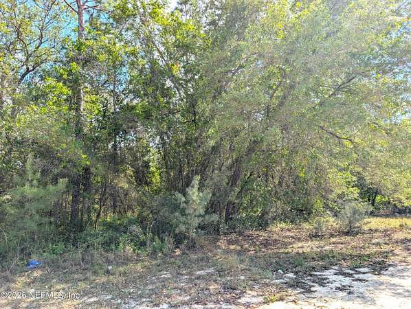 0.96 Acres of Residential Land for Sale in Keystone Heights, Florida