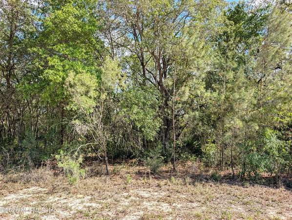 0.97 Acres of Residential Land for Sale in Keystone Heights, Florida