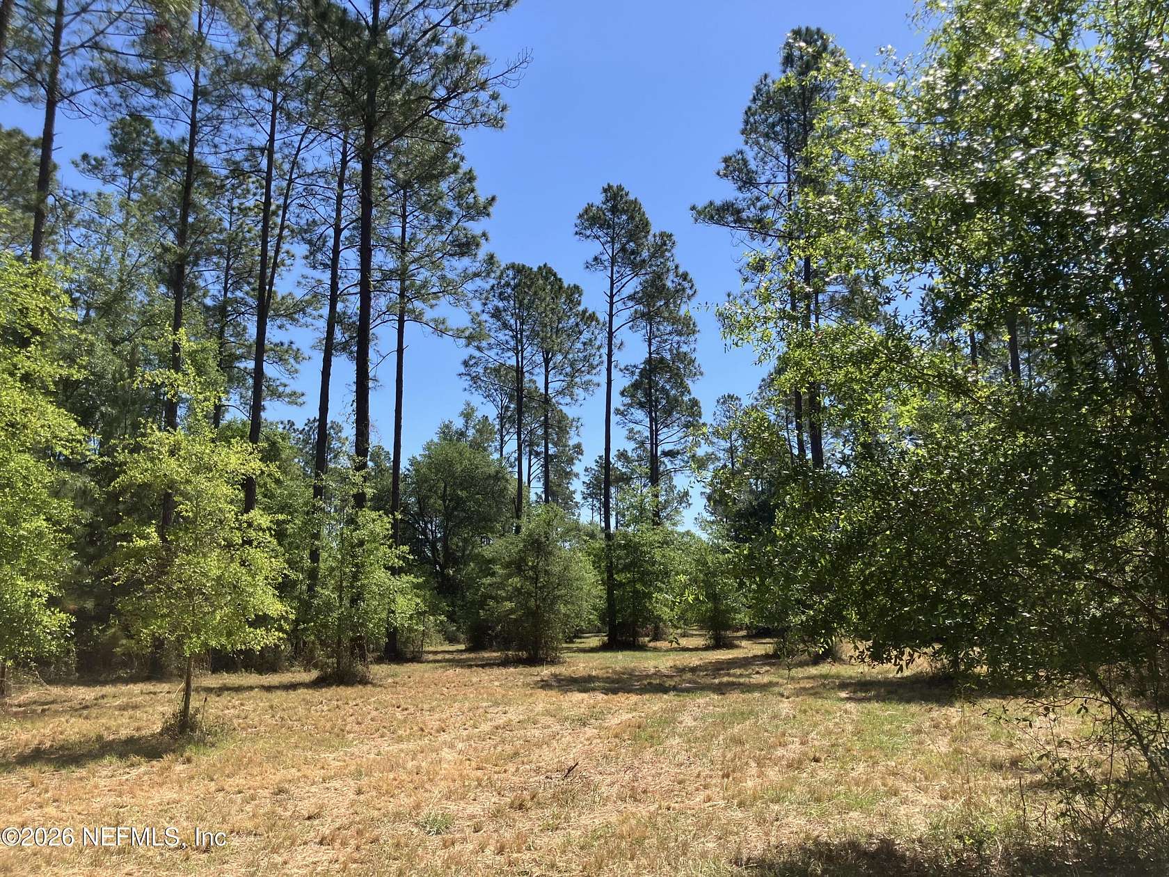 6.73 Acres of Land for Sale in Hilliard, Florida