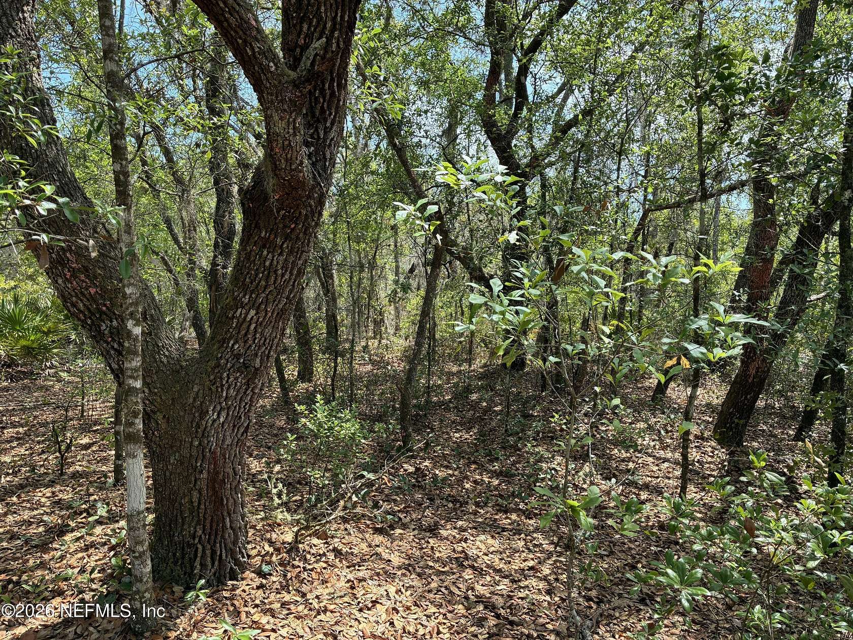 0.43 Acres of Residential Land for Sale in Interlachen, Florida