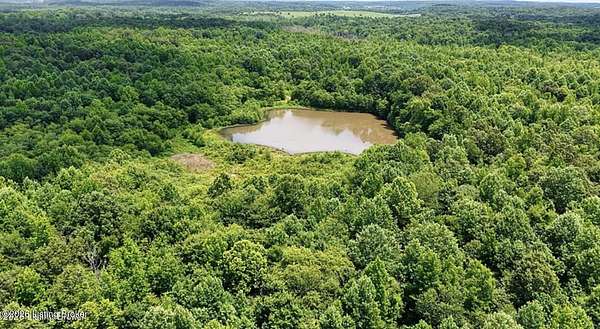 80 Acres of Land for Sale in Drakesboro, Kentucky