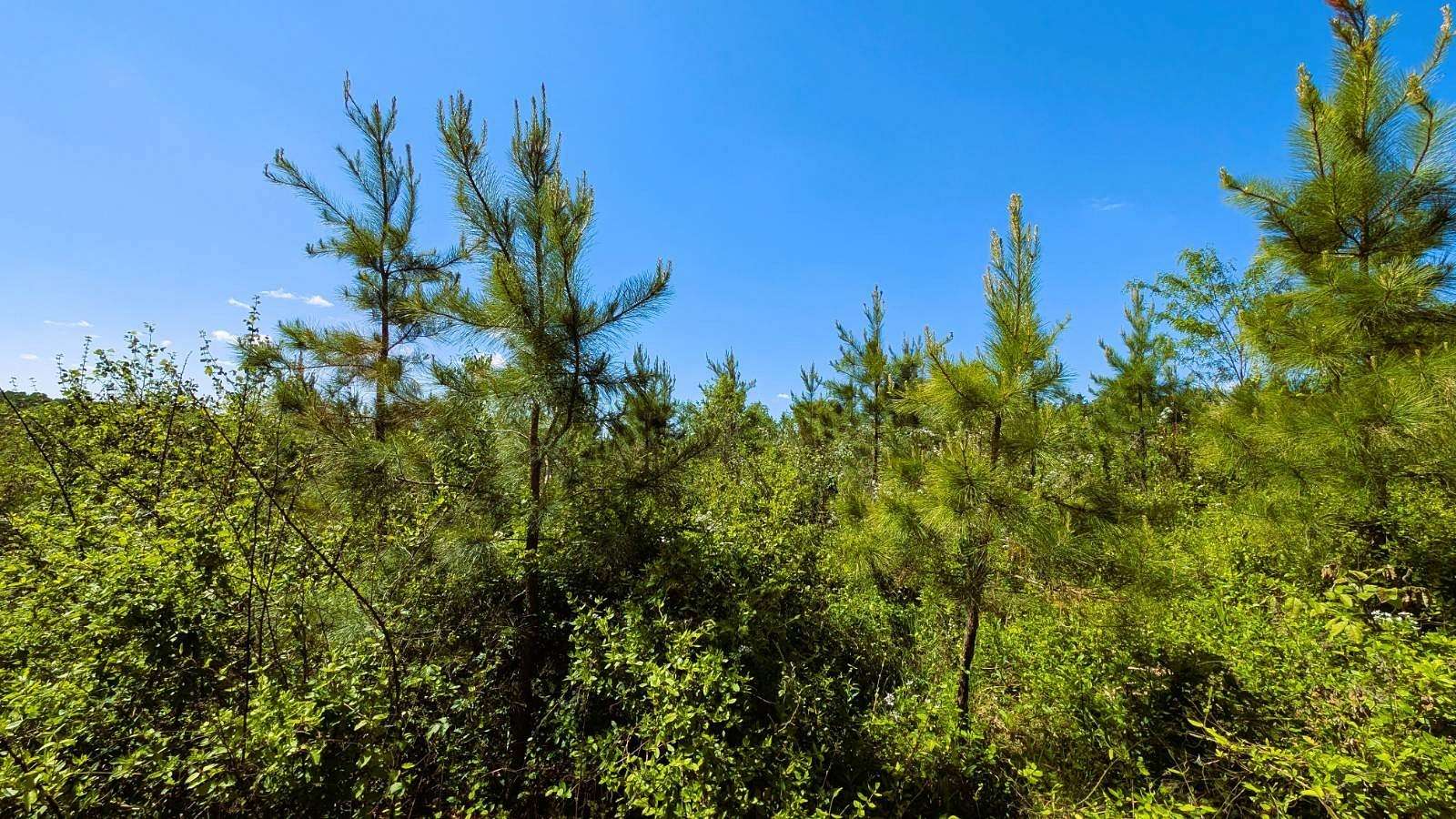 8.58 Acres of Residential Land for Sale in Chillicothe, Ohio