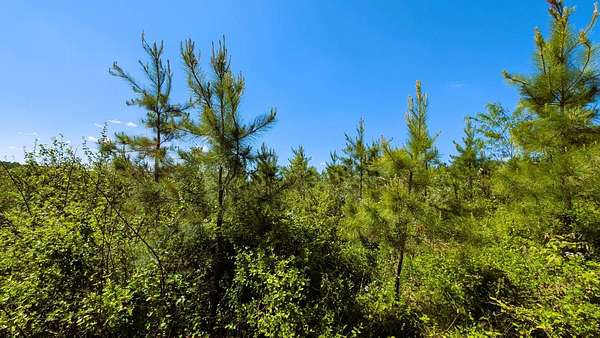 8.58 Acres of Residential Land for Sale in Chillicothe, Ohio