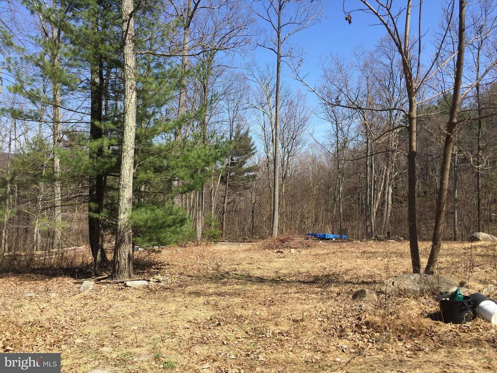 17 Acres of Land for Sale in Sperryville, Virginia