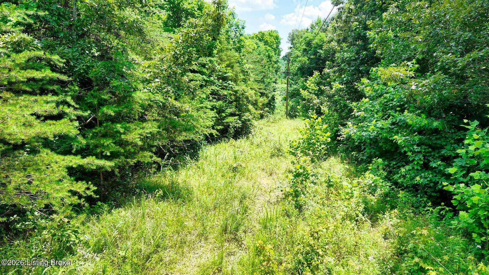 25 Acres of Land for Sale in Drakesboro, Kentucky