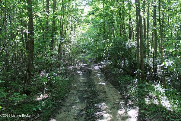 25 Acres of Land for Sale in Drakesboro, Kentucky