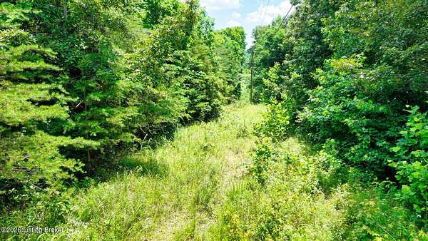 25 Acres of Land for Sale in Drakesboro, Kentucky