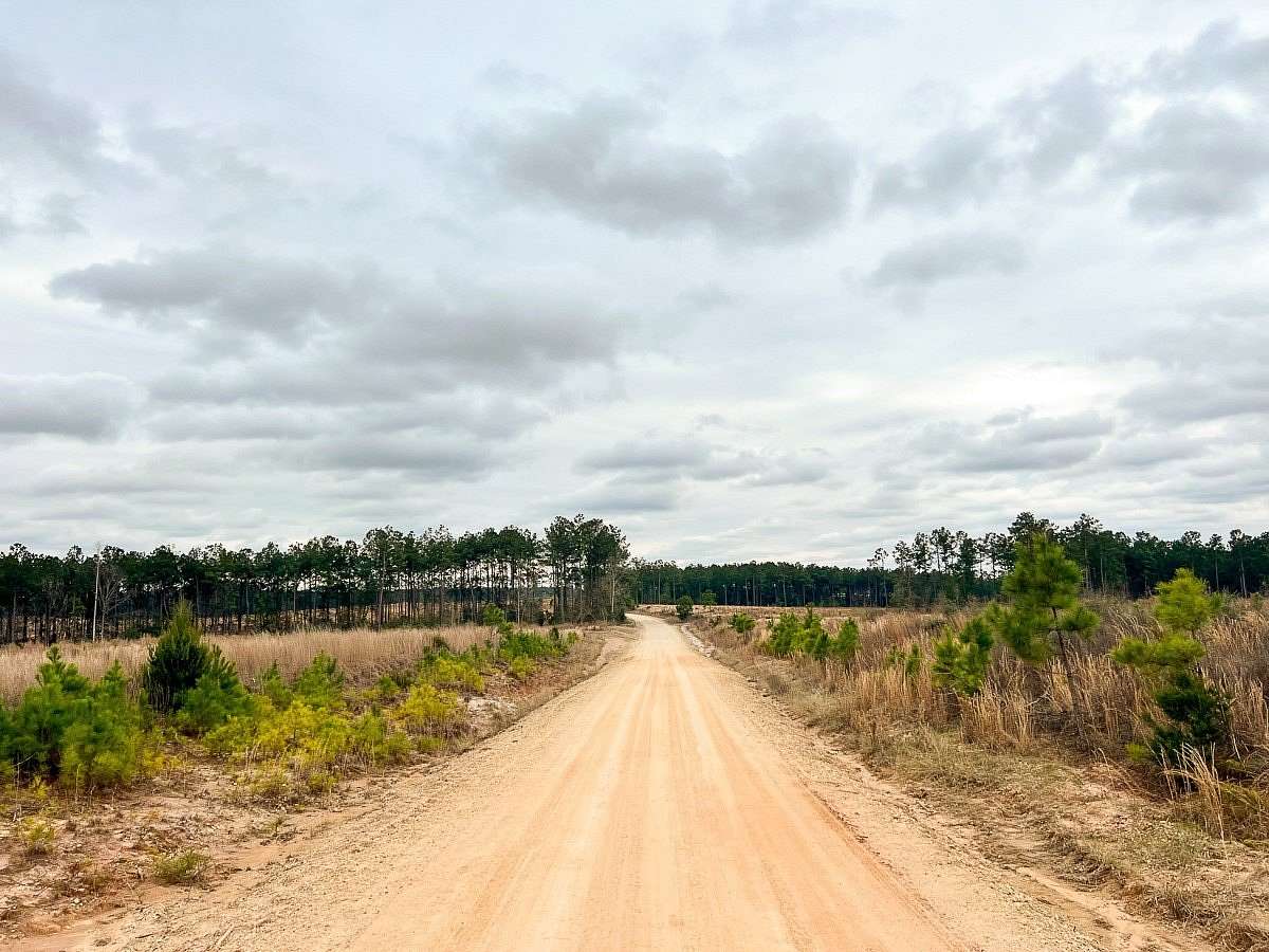 61 Acres of Land for Sale in Moscow, Texas