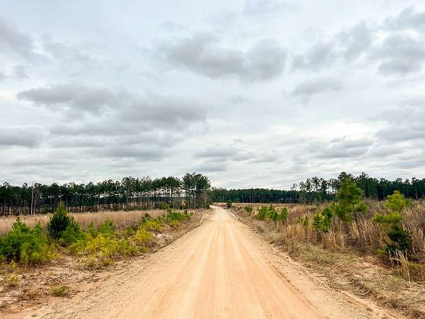 61 Acres of Land for Sale in Moscow, Texas