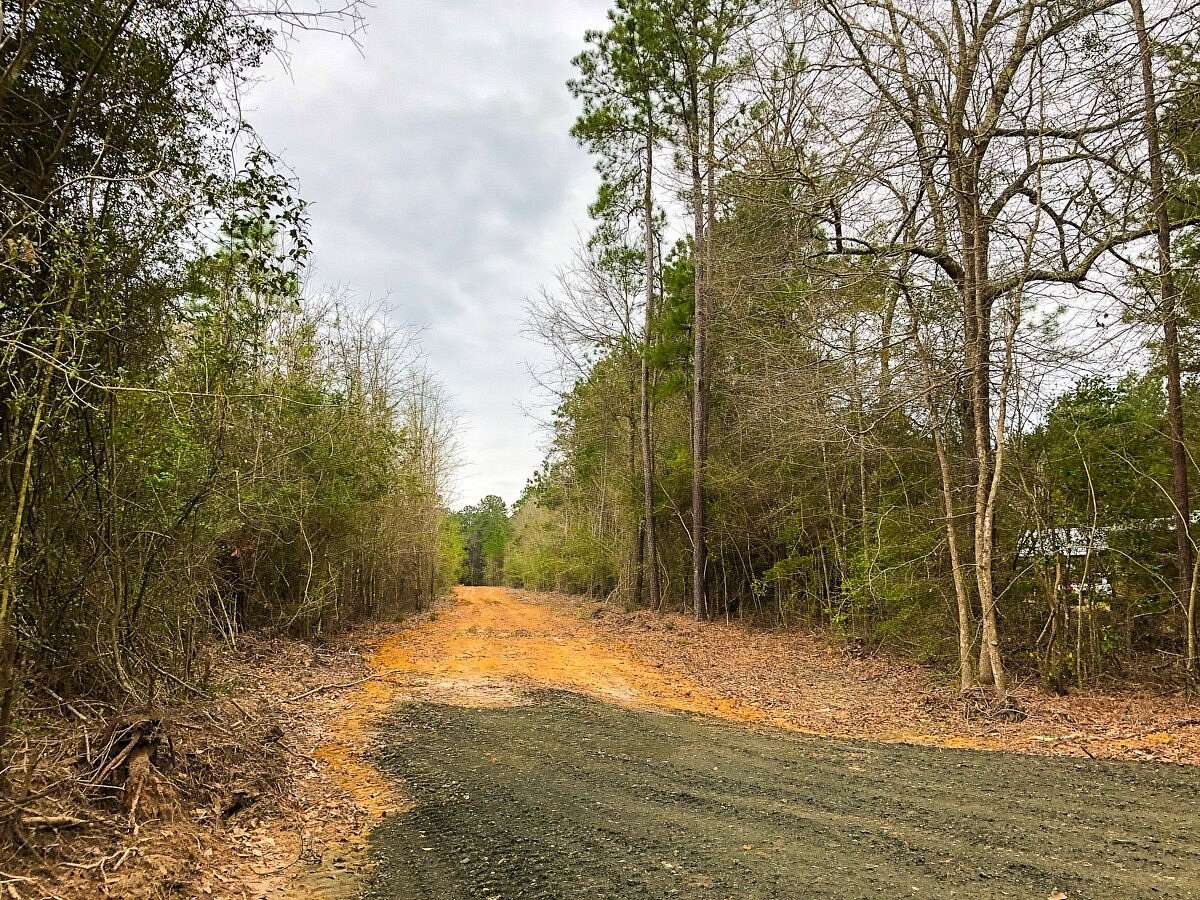 35 Acres of Recreational Land for Sale in Spurger, Texas