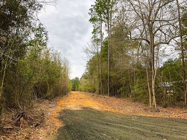 35 Acres of Recreational Land for Sale in Spurger, Texas
