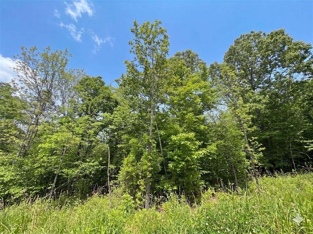 2.4 Acres of Residential Land for Sale in Watson, Oklahoma