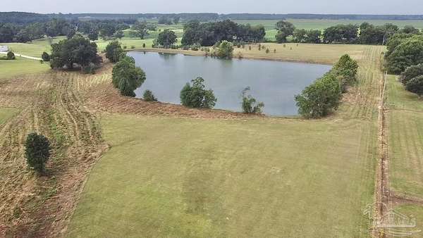 11.8 Acres of Land for Sale in Atmore, Alabama
