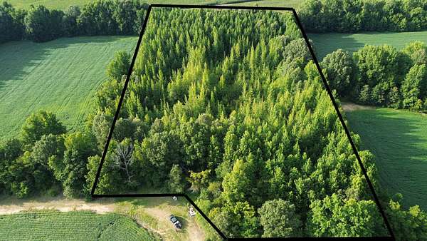 5 Acres of Residential Land for Sale in Ripley, Tennessee